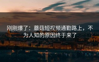刚刚爆了：蘑菇短视频通勤路上，不为人知的原因终于来了