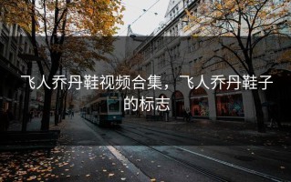 飞人乔丹鞋视频合集，飞人乔丹鞋子的标志