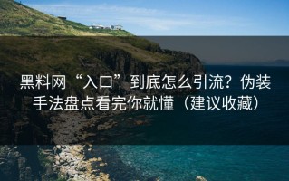 黑料网“入口”到底怎么引流？伪装手法盘点看完你就懂（建议收藏）