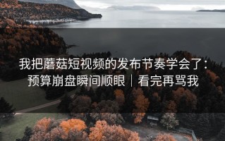 我把蘑菇短视频的发布节奏学会了：预算崩盘瞬间顺眼｜看完再骂我