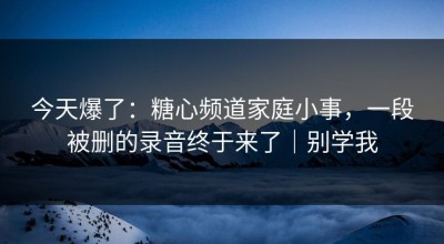 今天爆了：糖心频道家庭小事，一段被删的录音终于来了｜别学我